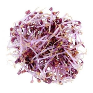 Klíčky kapusty červenej 50g, I. trieda 8