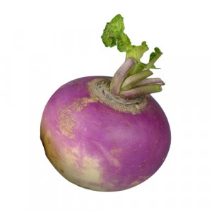 Kvaka turnip, I.trieda 14