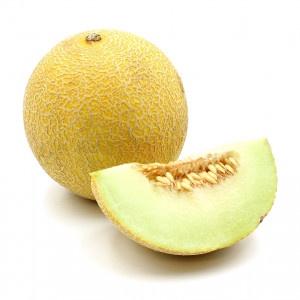 Melón žltý Galia kal.6 ,I.Tr 5