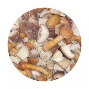 Mrazená Zmes hubová 1kg Viking Frost 2
