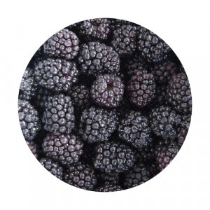 Mrazené Černice 2,5kg Viking Frost 18