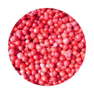 Mrazené Ríbezle červené 2,5kg Viking Frost 24