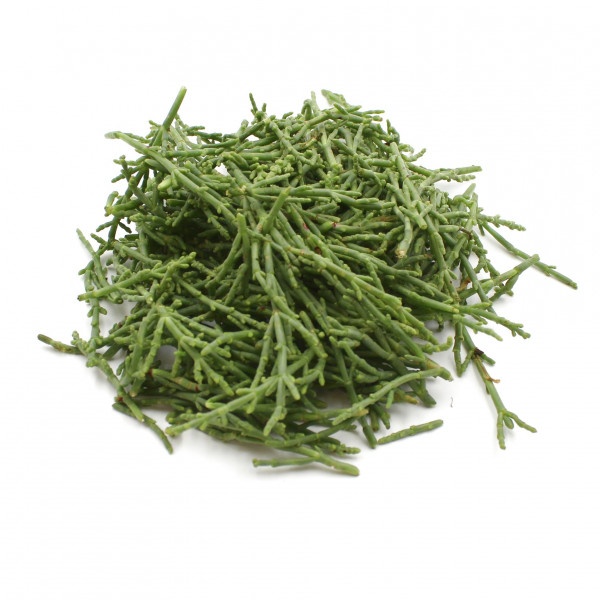 Salicornia (Seacorel) ,I.Tr 1