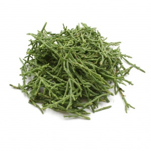 Salicornia (Seacorel) ,I.Tr 12
