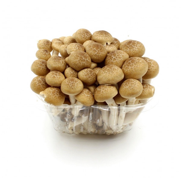 Shimeji hnedé 150g, I.trieda 1