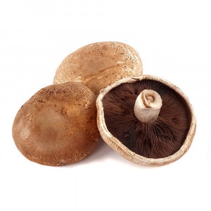 Šampiňóny Portobello, I.trieda 8