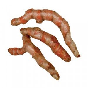 Koreň Turmeric/Kurkuma, I.trieda 5
