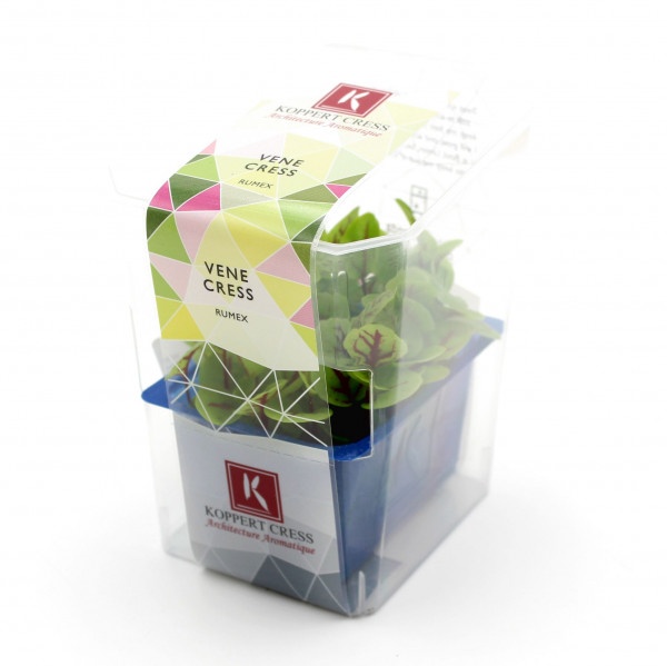 Vňať - Vene cress vanička 2