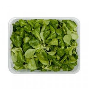 Šalát poľný - Valerián 125g, I.trieda 13