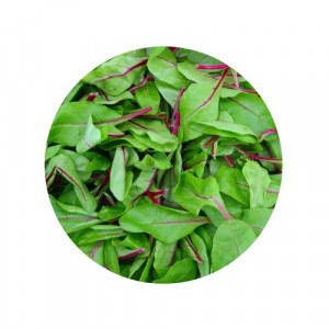 Šalát - Red chard 125g 13