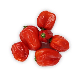 Paprika - chilli papričky Habanero červené, I.trieda 7
