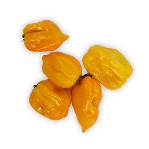 Paprika - chilli papričky Habanero žlté, I.trieda 5