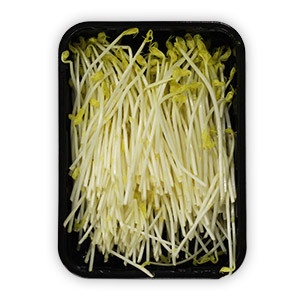 Klíčky špargľové 100g 16