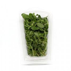 Balené Oregano 30g 11