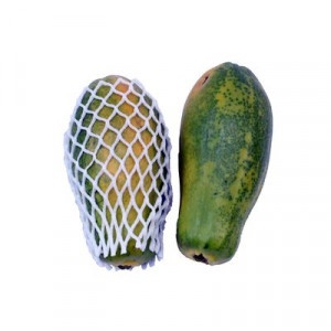 Papaya Formosa kal. 4, I. trieda 20