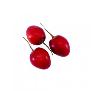 Tamarilo, I.trieda 14