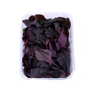 Šalát - Bull blood 125g ,I.Tr 9