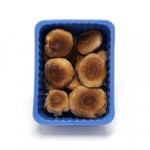 Shiitake huba (húževnatec jedlý) 200g 11