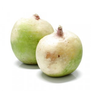 Reďkovka water melon ,I.Tr 6