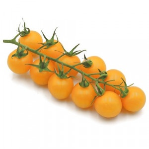 Paradajky Cherry žlté krík (kg) 11