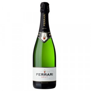 Víno šumivé biele suché Brut DOC, Ferrari 0,75l IT 1
