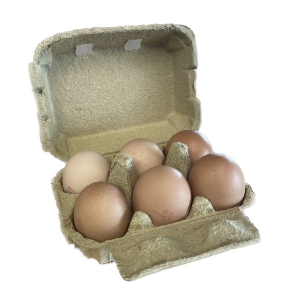 Vajcia Bio z voľného výbehu M-L 6ks Pipidu 2