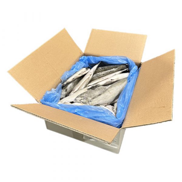 Mrazený Pstruh dúhový pitvavný celý 250-300g, 10% 5kg 1