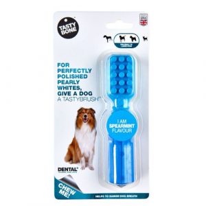 TastyBone Nylon Dental Kefka Spearmint 1