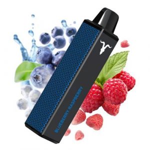 Ignite jednorazova e-cigareta V600 Blueberry Raspberry 2% 11