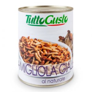 Hríby Famigliola Gialla 820g TuttoGusto 10