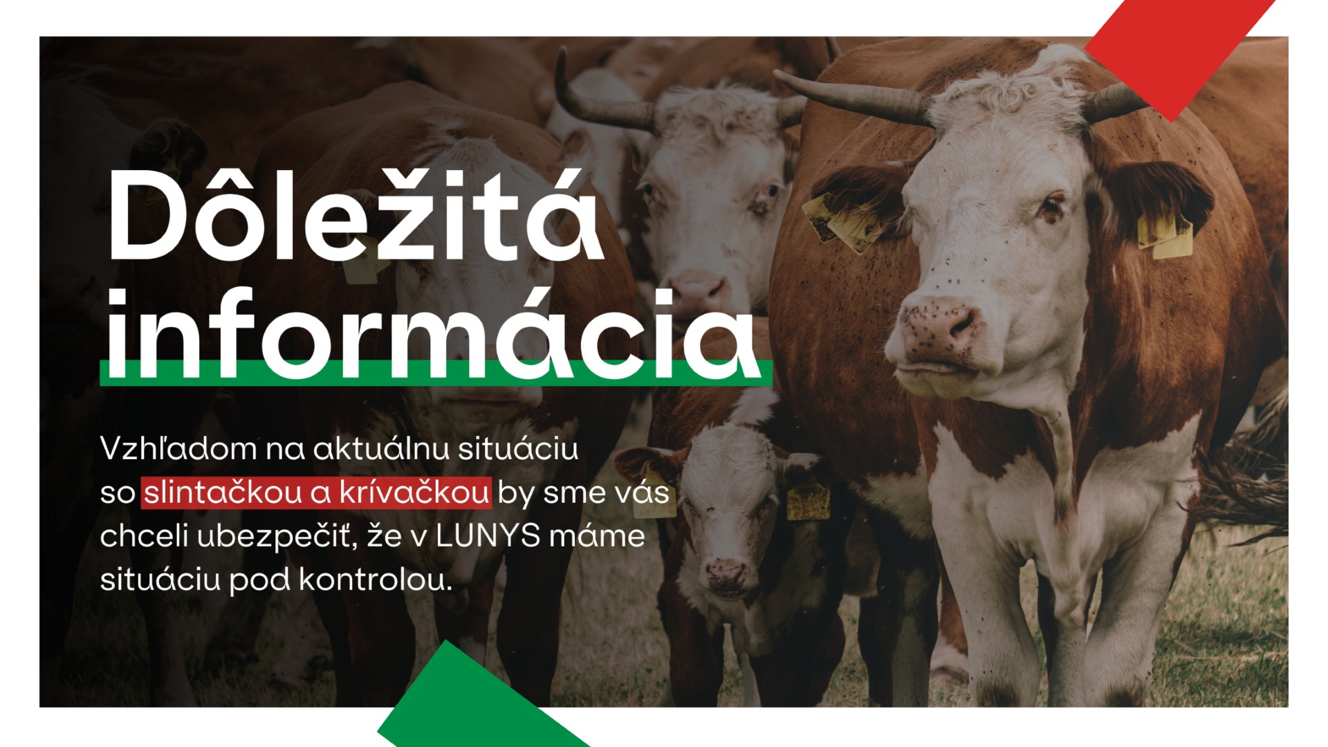 Máme situáciu pod kontrolou: Bezpečnosť vašich nákupov je pre nás prvoradá
